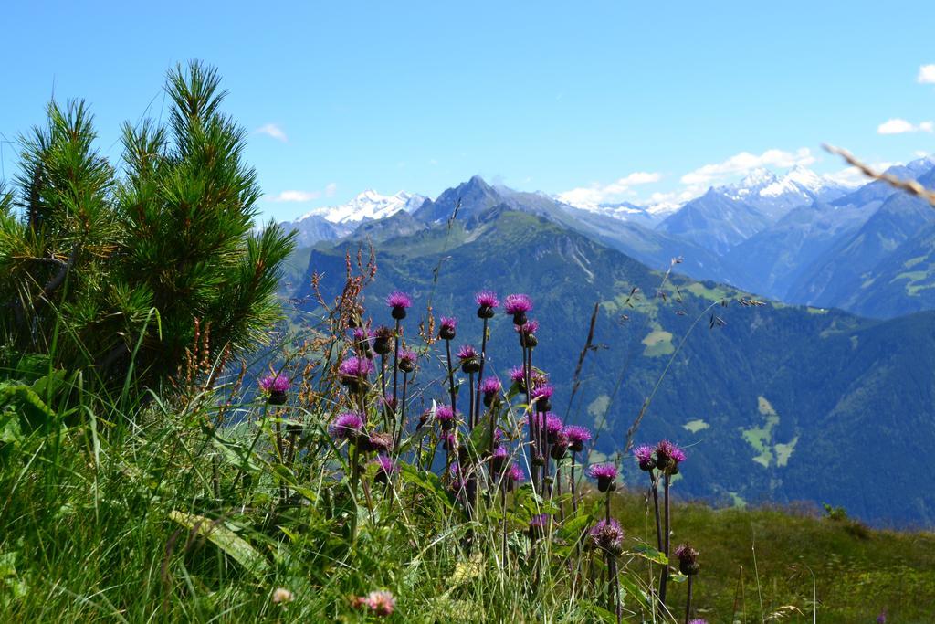 Apartments Emma, Zillertal, Tirol Kaltenbach Dış mekan fotoğraf
